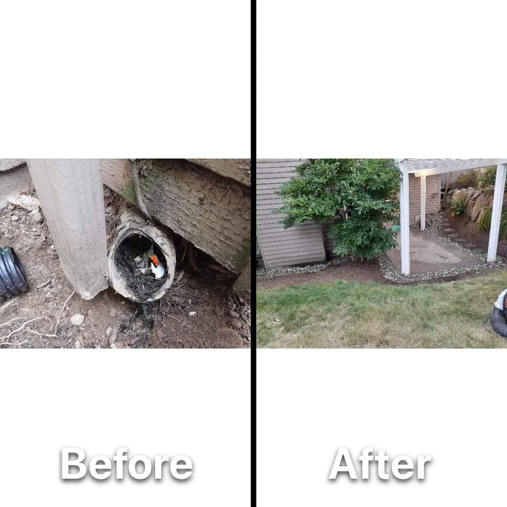 Reliable yard cleanup service in Newcastle, WA by Max Landscaping Service