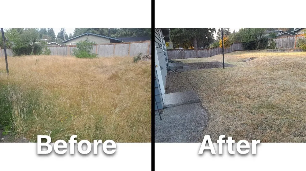 Local yard cleanup service in Newcastle, WA - Max Landscaping Service