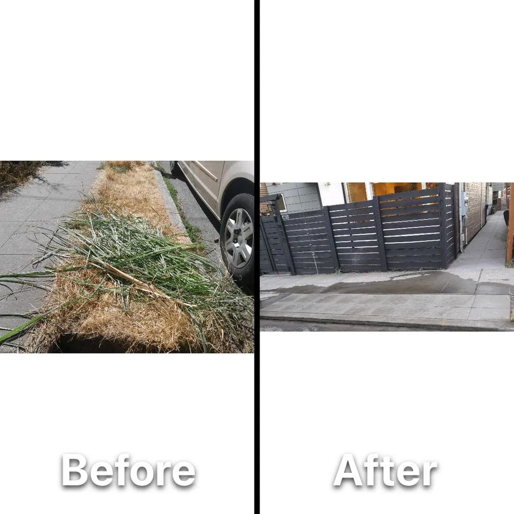 Local garden landscaping for outdoor upgrades in Newcastle, WA by Max Landscaping Service