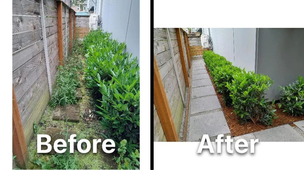 Affordable landscape installation with custom design across Newcastle, WA - Max Landscaping Service