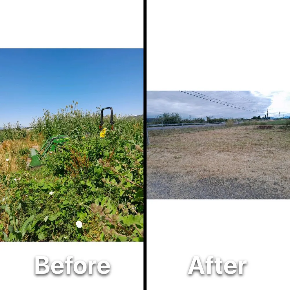 Custom landscape design in Newcastle, WA by Max Landscaping Service