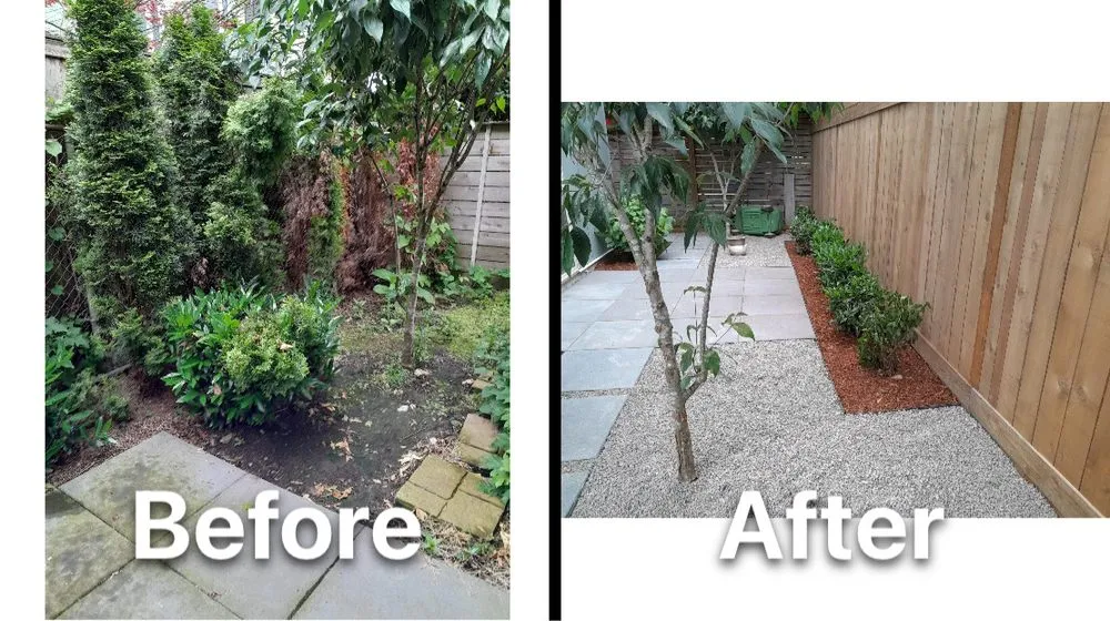 Reliable yard cleanup service with custom design across Newcastle, WA - Max Landscaping Service