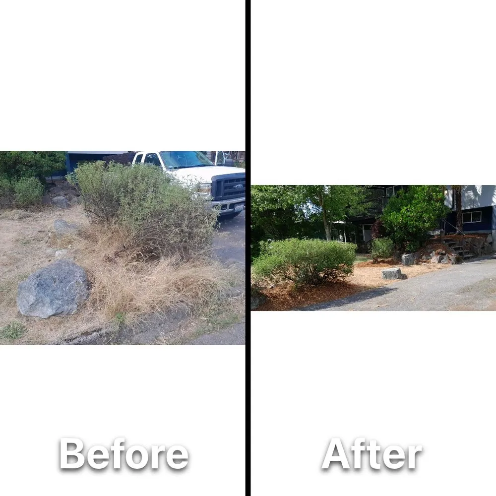 Top-rated lawn care service for residential properties across Newcastle, WA - Max Landscaping Service