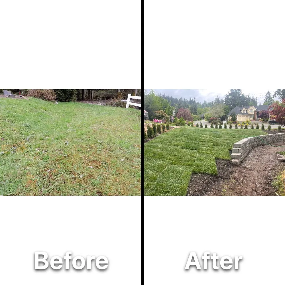 Reliable lawn care service experts serving Newcastle, WA - Max Landscaping Service