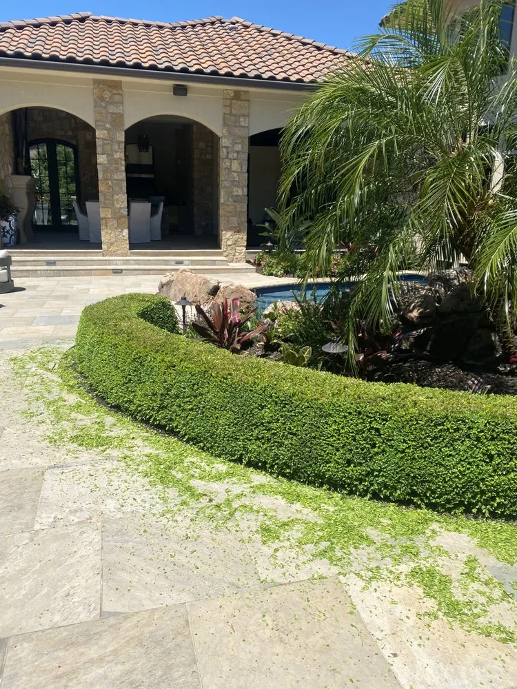 Top-rated yard maintenance in Independence, MO - Max Lawn and Landscape