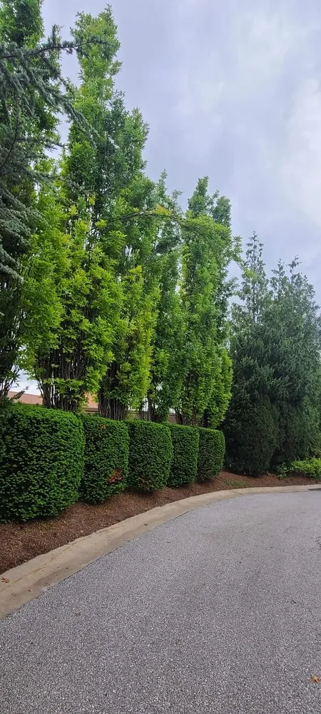 Affordable landscaping services in Independence, MO - Max Lawn and Landscape