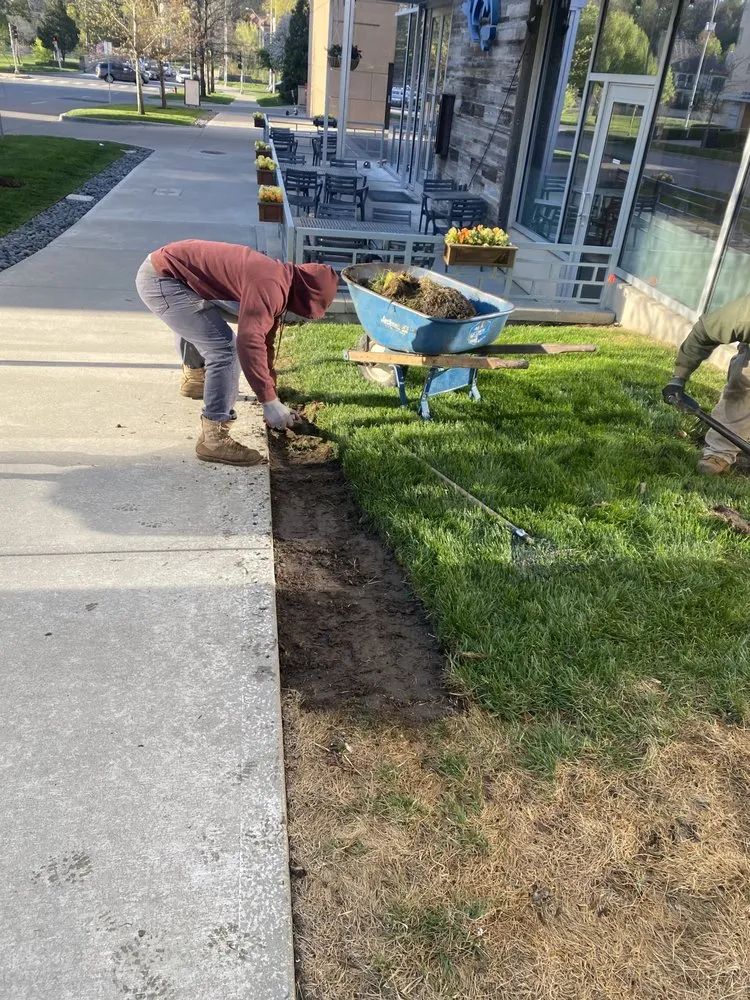 Expert lawn care service for residential properties across Independence, MO - Max Lawn and Landscape