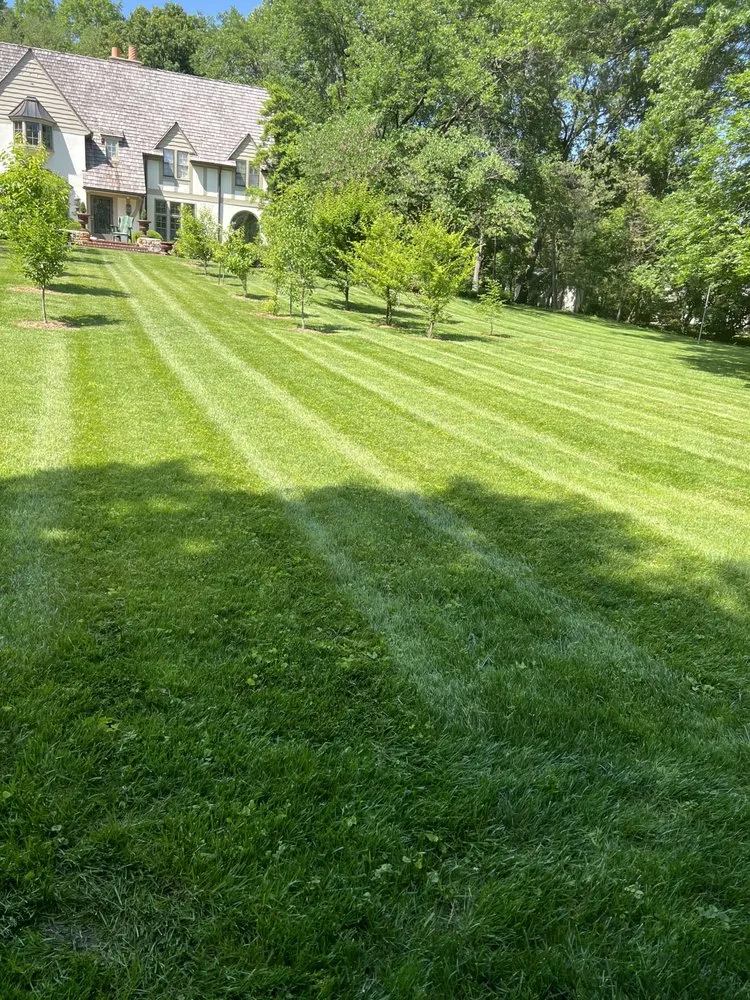 Trusted yard cleanup service experts serving Independence, MO - Max Lawn and Landscape