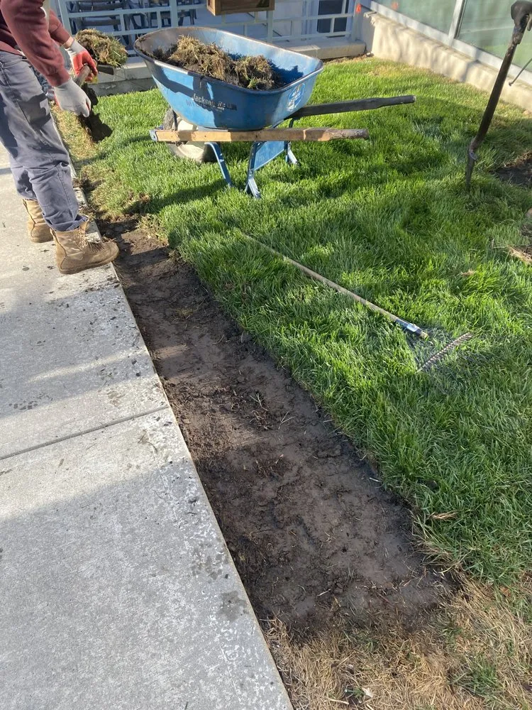 Affordable landscape installation for outdoor upgrades across Independence, MO - Max Lawn and Landscape