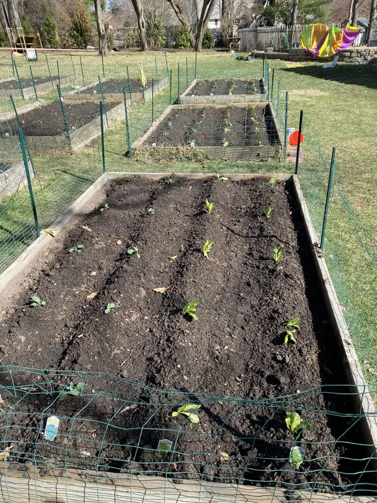 Top-rated landscape design in Independence, MO by Max Lawn and Landscape