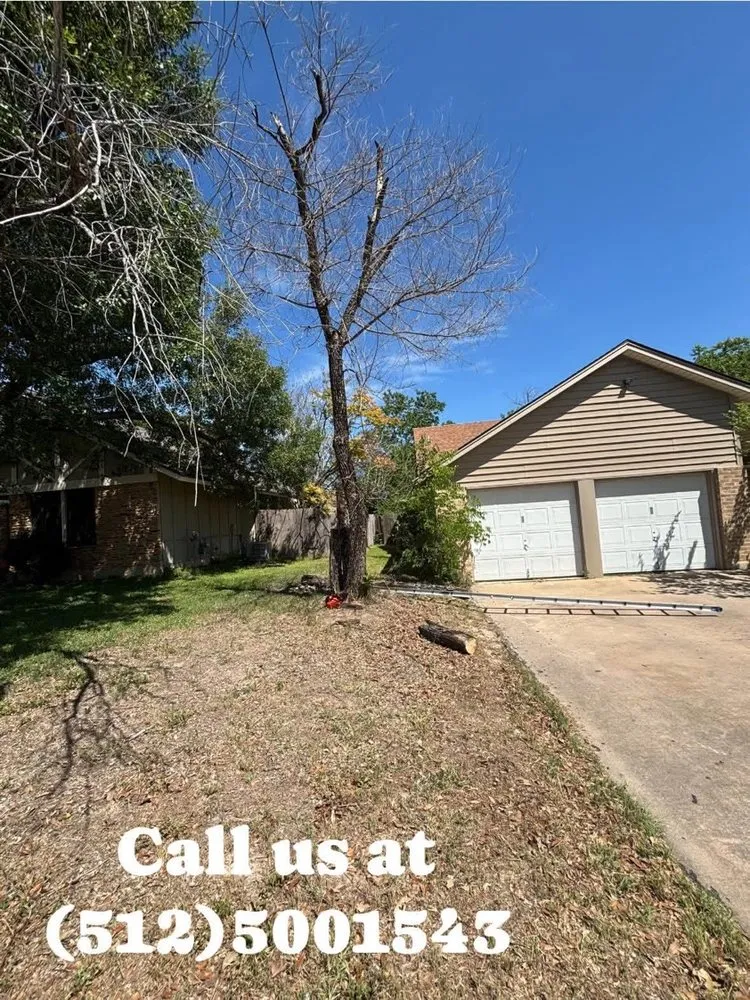 Affordable landscape design for year-round maintenance across Cedar Creek, TX - Max Lawn Care