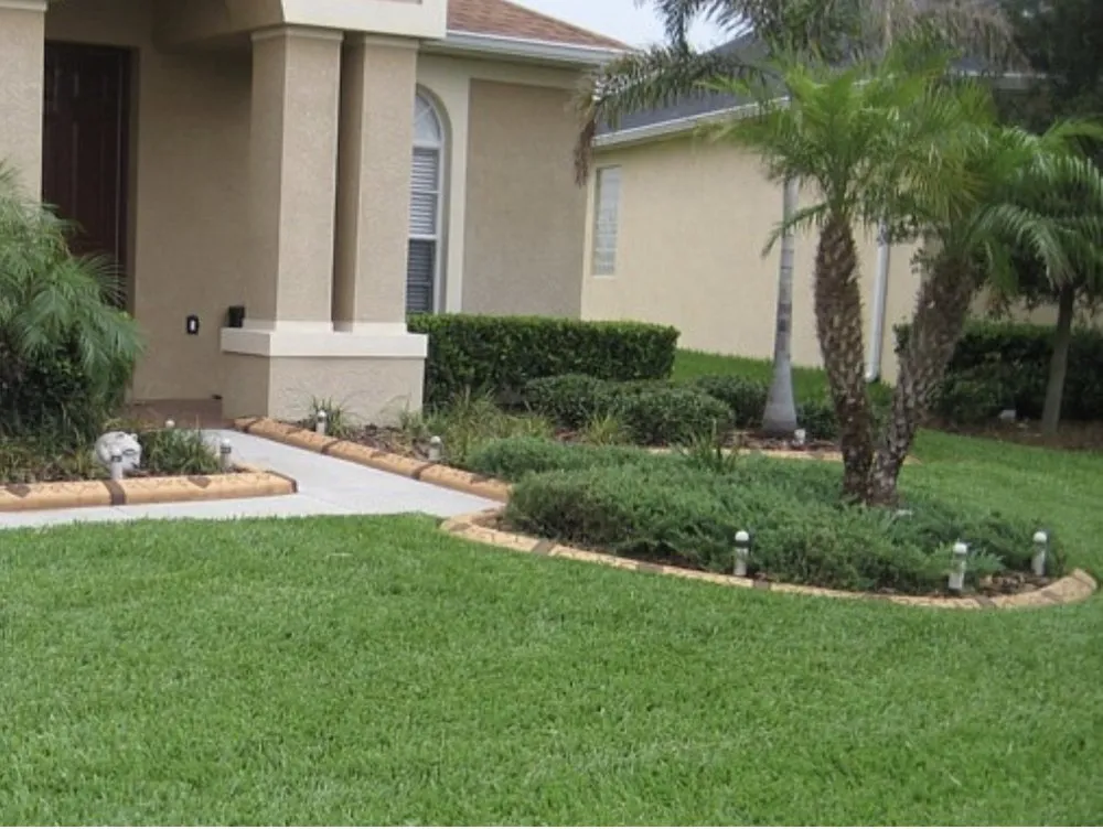 Trusted yard maintenance in Fresno, CA - Max Lawn Care