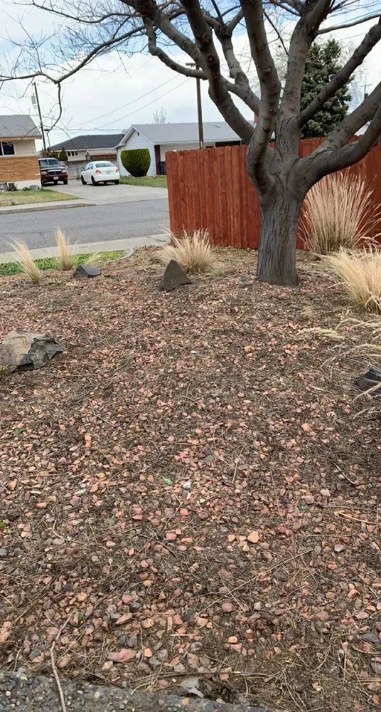 Affordable yard cleanup service experts serving Kennewick, WA - Max Lawn Care