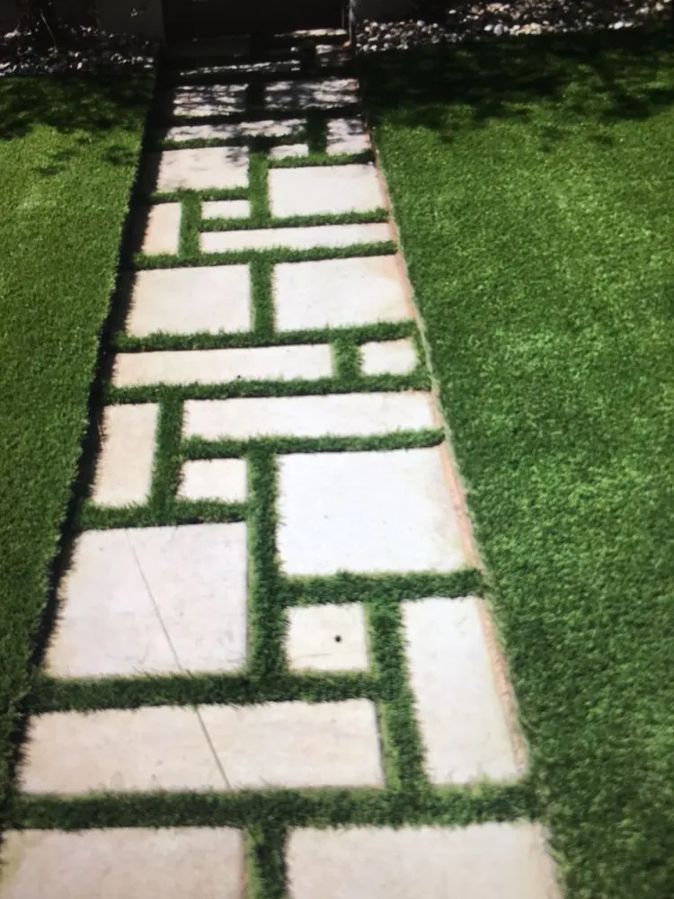 Professional yard maintenance in Canoga Park, CA by Max Lopes Landscaping