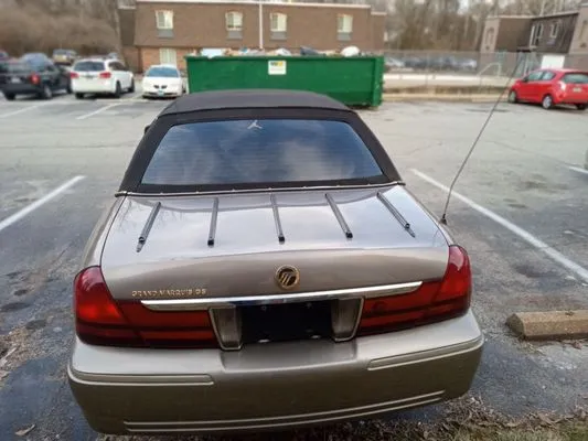 Max Mobile Detailing and Tree and Lawn Service Logo