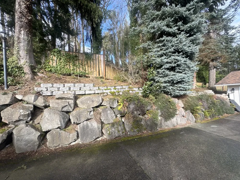 Affordable yard cleanup service in Renton, WA by Max of All Trades