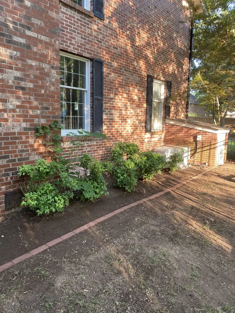 Professional yard maintenance experts serving Fort Smith, AR - Max Young Mowing