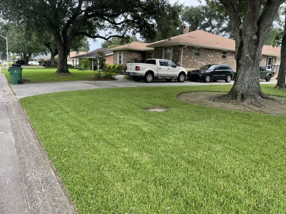 Professional landscaping services experts serving Laplace, LA - Maxie’s Lawn Mowing Service