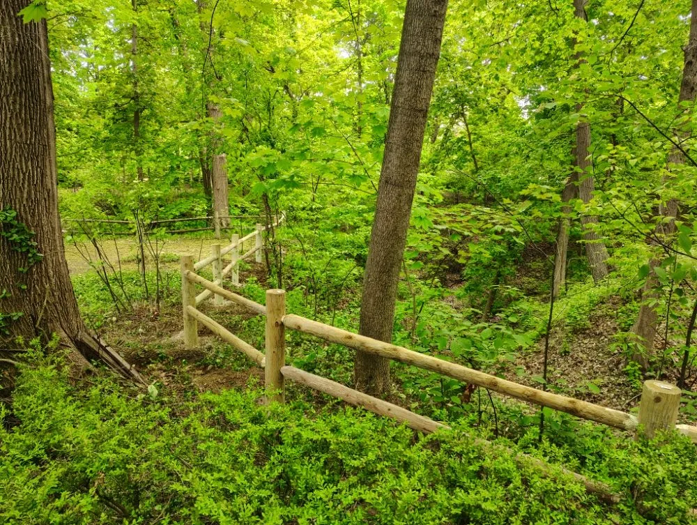 Custom residential landscaping in Waukegan, IL - Maximo Landscaping