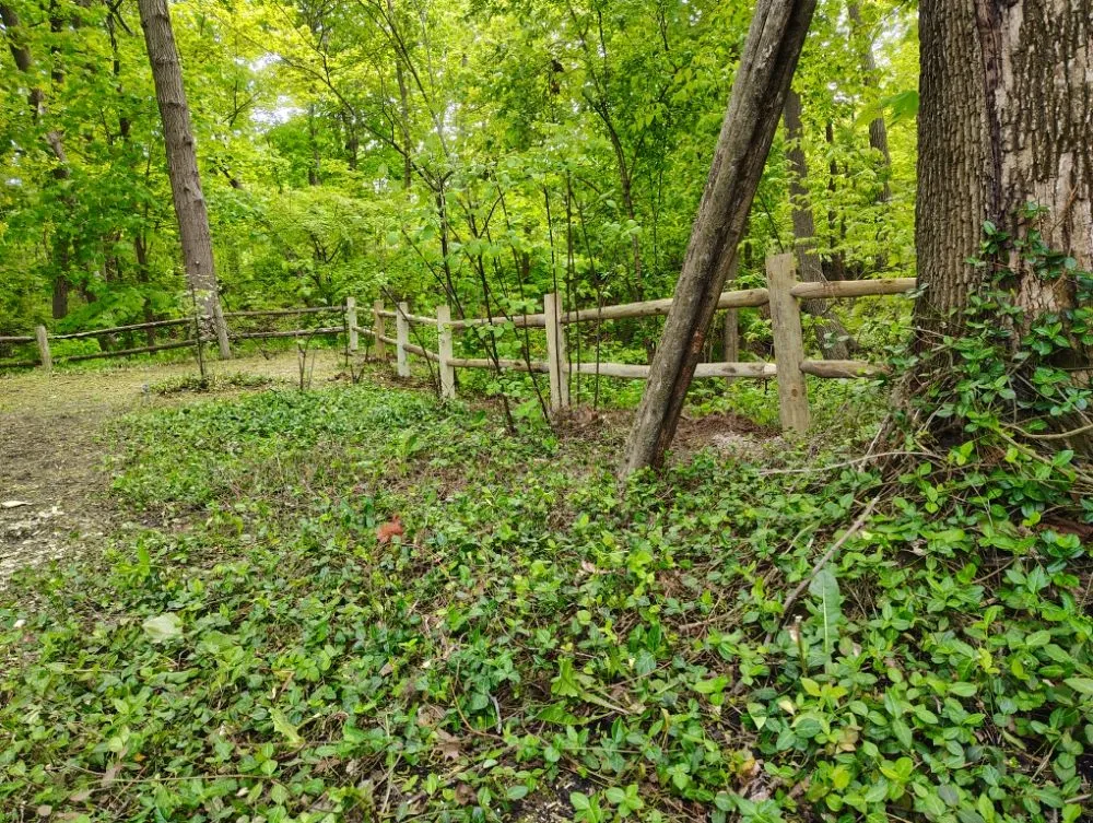 Reliable garden landscaping experts serving Waukegan, IL - Maximo Landscaping