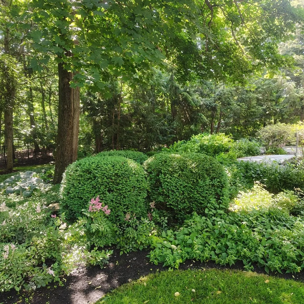 Affordable lawn mowing service in Waukegan, IL by Maximo Landscaping