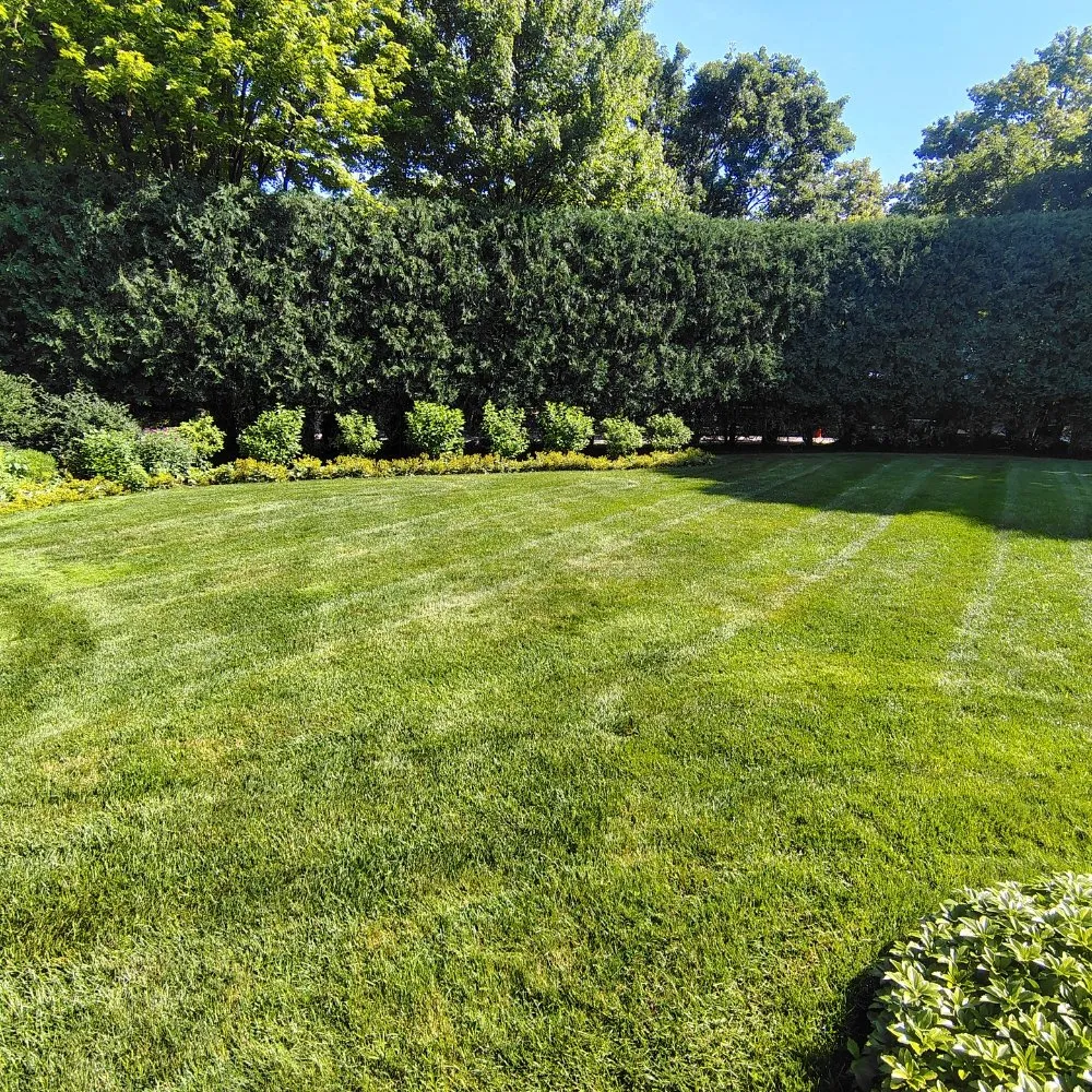 Custom lawn care service in Waukegan, IL - Maximo Landscaping
