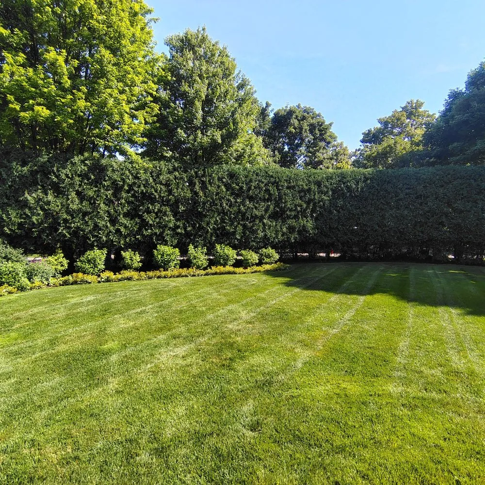 Reliable landscaping services in Waukegan, IL by Maximo Landscaping
