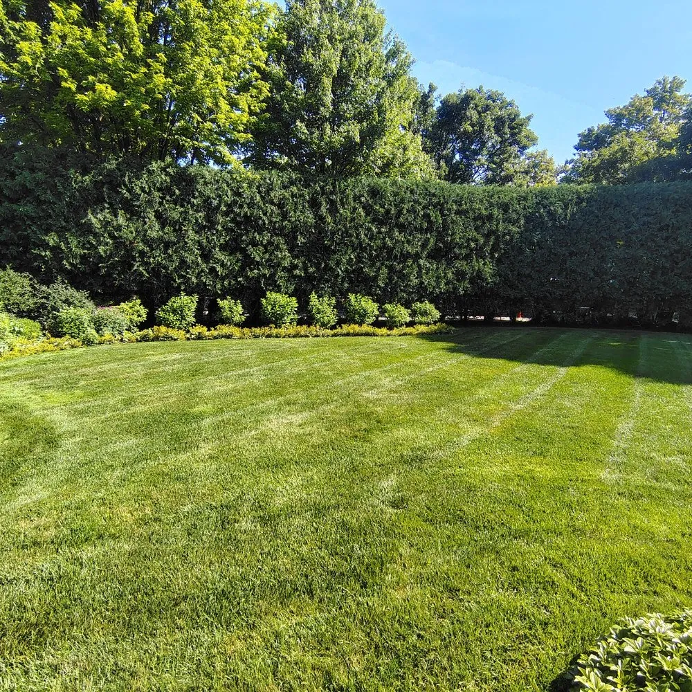 Affordable landscaping services for year-round maintenance in Waukegan, IL by Maximo Landscaping