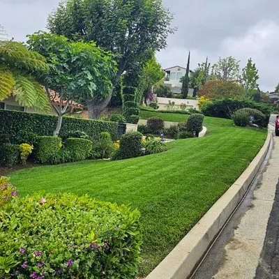 Maximo’s Greenlife Garden care & Landacape Logo