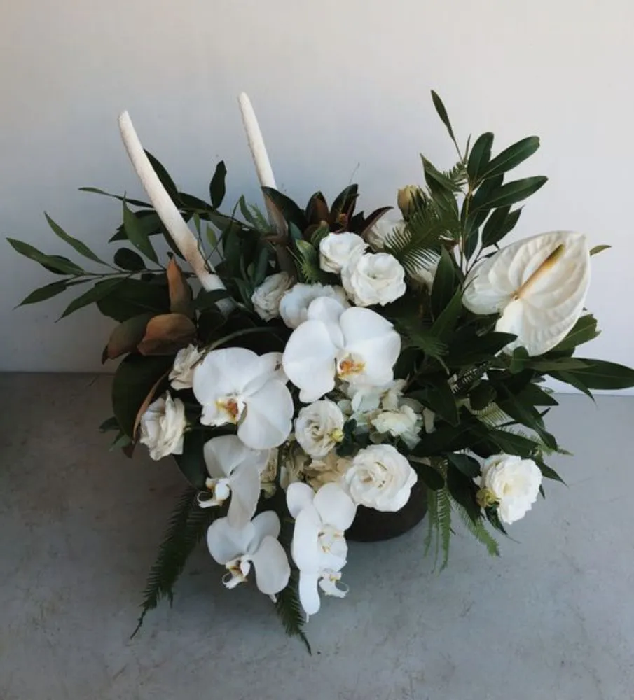 Professional yard maintenance experts serving Los Angeles, CA - Maximum Bloomage