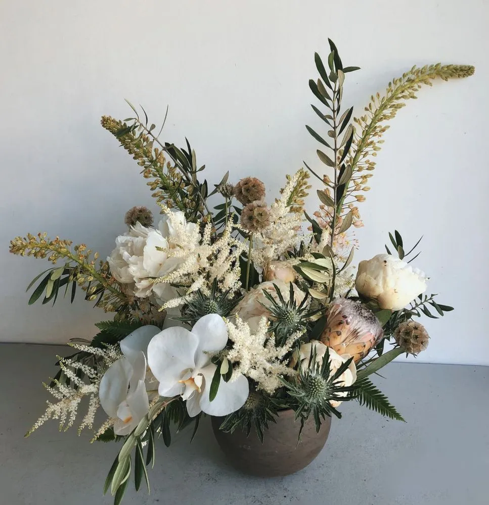 Reliable yard cleanup service in Los Angeles, CA by Maximum Bloomage