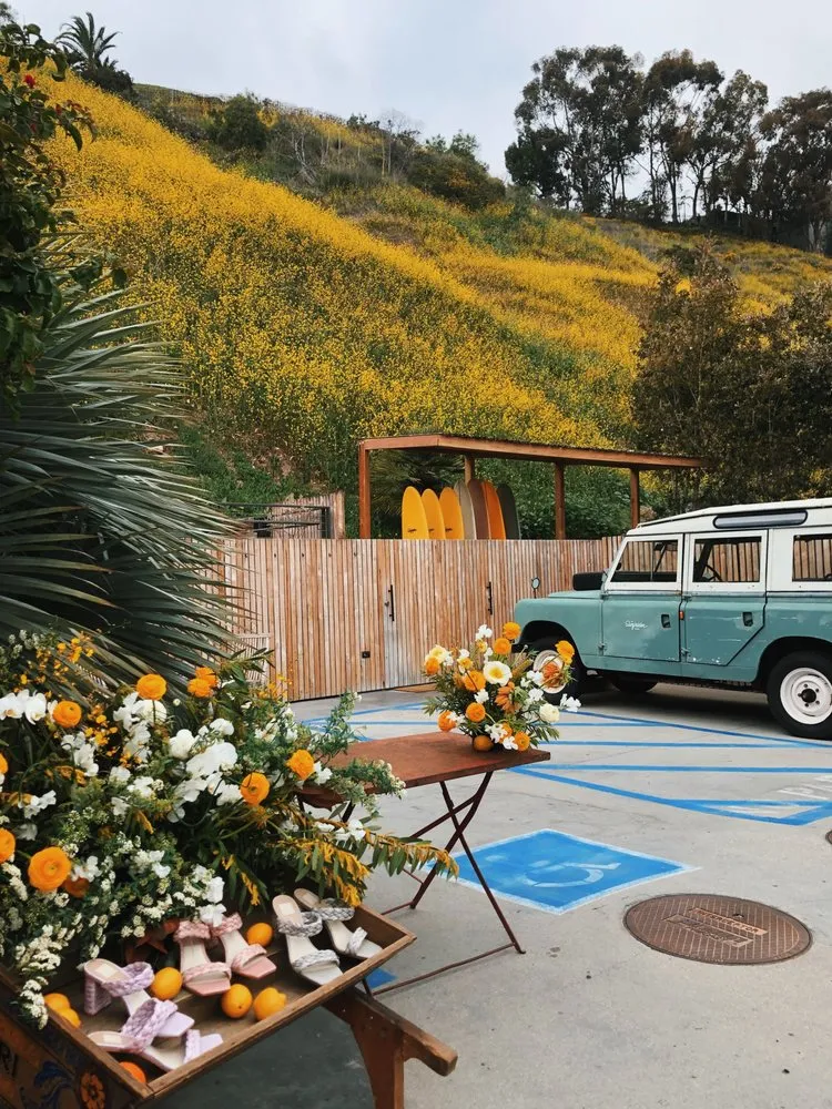 Affordable lawn mowing service for beautiful yards in Los Angeles, CA by Maximum Bloomage