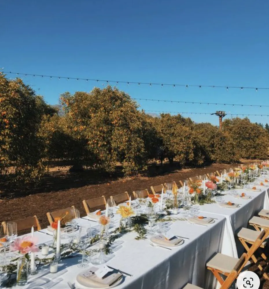 Top-rated residential landscaping in Los Angeles, CA - Maximum Bloomage