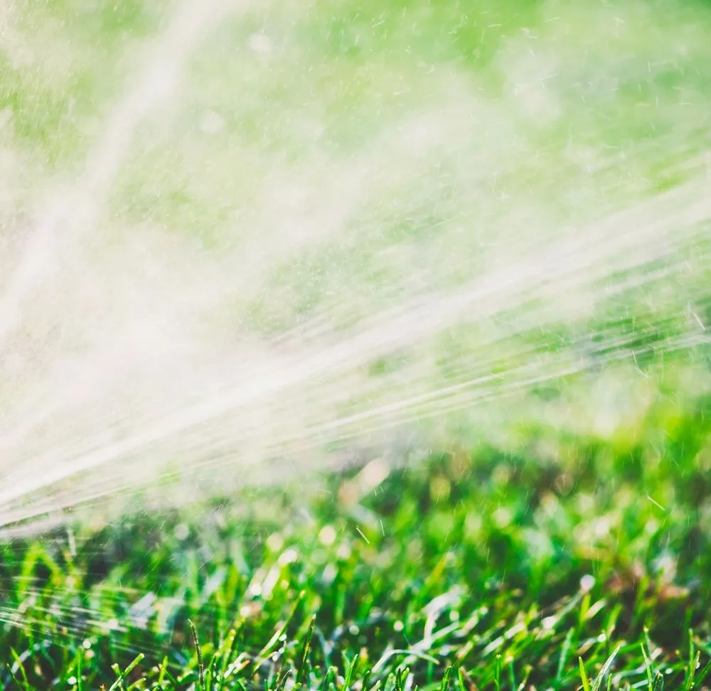 Top-rated lawn care service in Missoula, MT by Maximum Irrigation