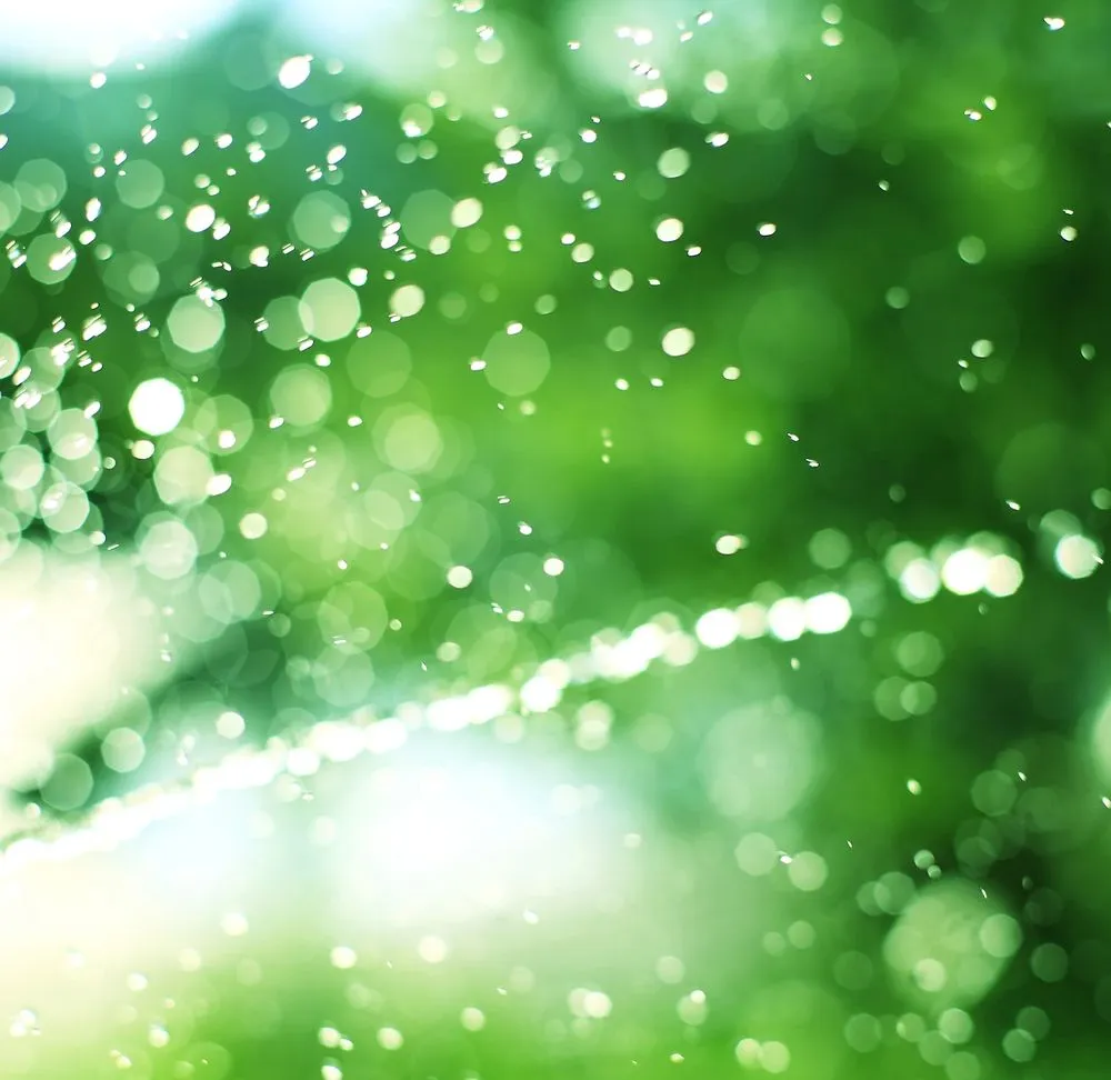 Affordable landscaping services in Missoula, MT - Maximum Irrigation