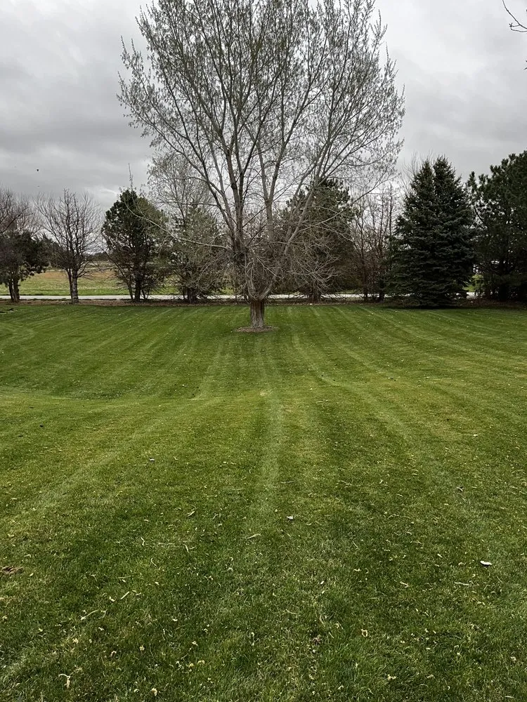 Reliable lawn care service for beautiful yards across Amherst, NE - Maximum Landscaping & Lawncare