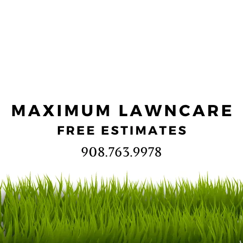 Professional landscaping services for year-round maintenance across Harmony, NJ - Maximum Lawncare