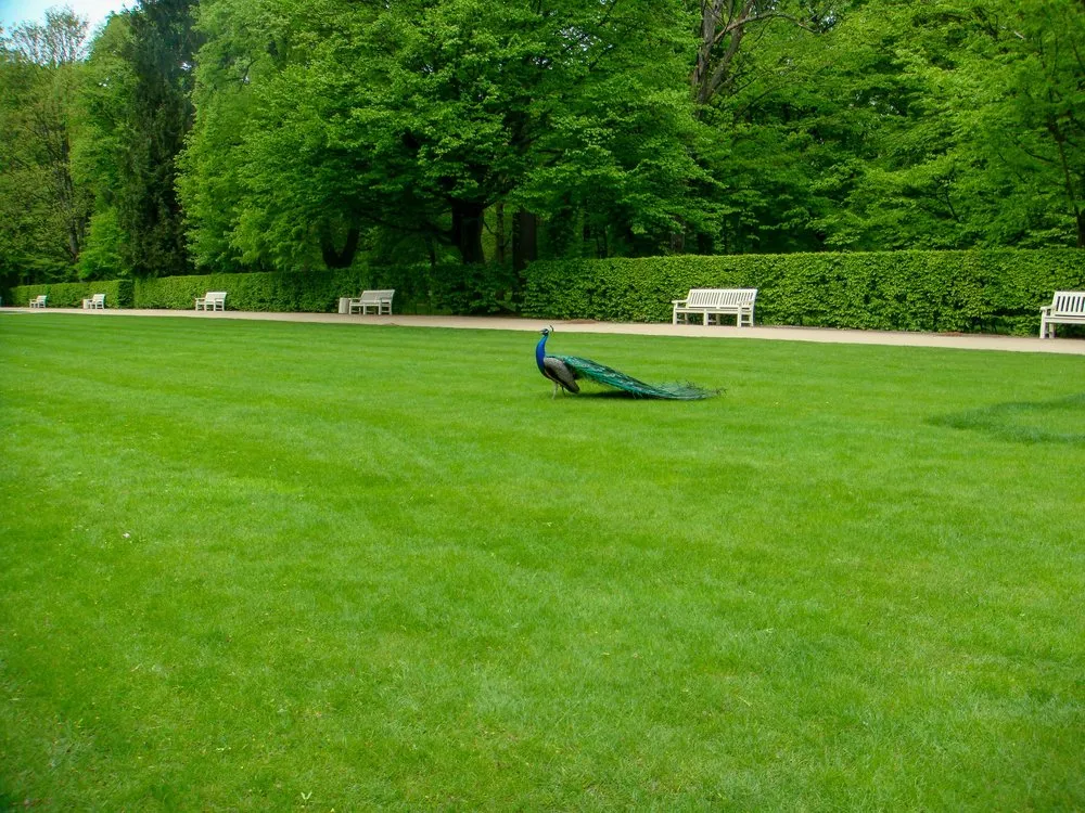 Top-rated lawn mowing service experts serving Harmony, NJ - Maximum Lawncare