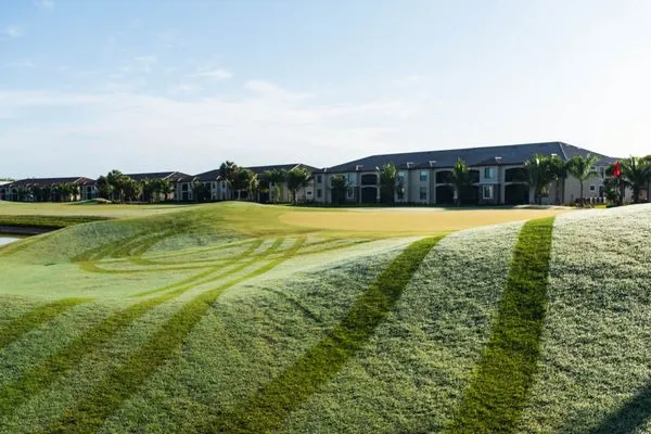 Maximum Lawncare