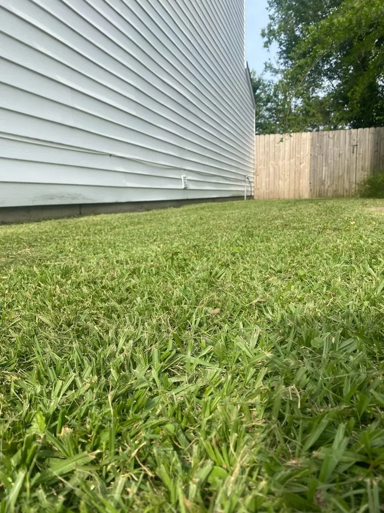 Expert landscape design for beautiful yards in Lafayette, LA by Maximum Level Lawn Care