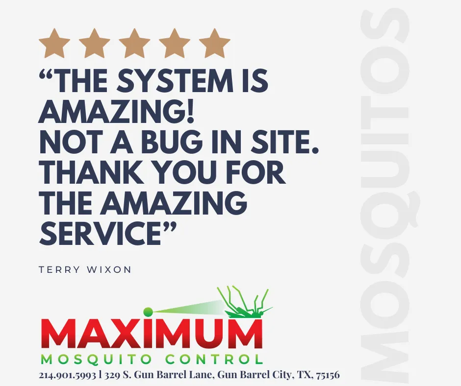 Reliable outdoor landscaping experts serving Gun Barrel City, TX - Maximum Mosquito Control