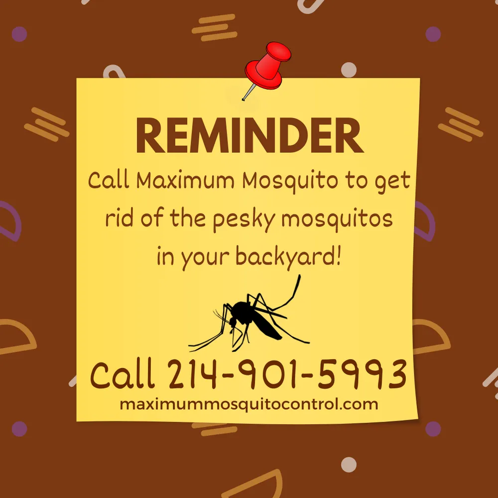 Affordable outdoor landscaping in Gun Barrel City, TX - Maximum Mosquito Control