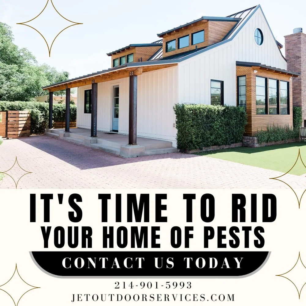 Custom yard cleanup service in Gun Barrel City, TX - Maximum Mosquito Control