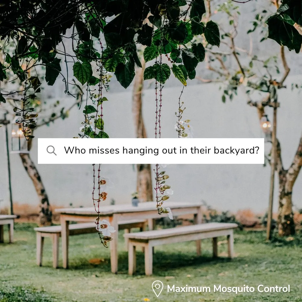 Top-rated landscape design in Gun Barrel City, TX by Maximum Mosquito Control