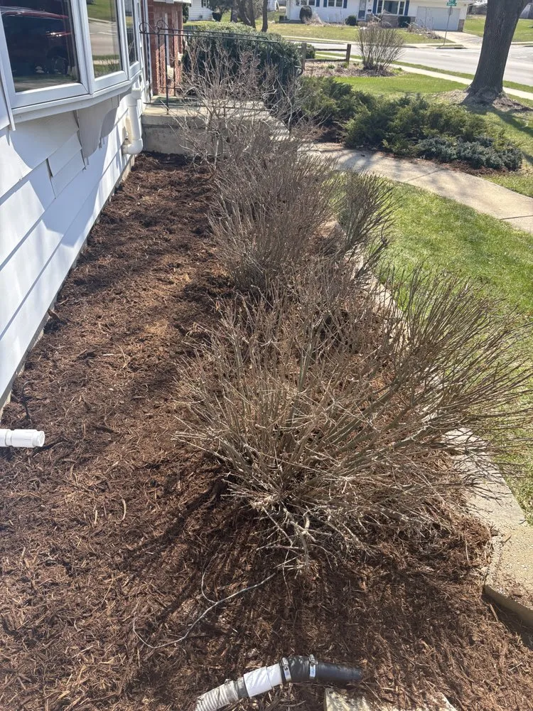 Professional garden landscaping for year-round maintenance across Sun Prairie, WI - Maximum Service Lawn Care