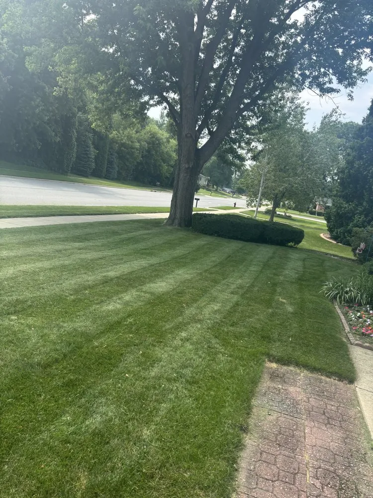 Reliable outdoor landscaping with custom design in Sun Prairie, WI by Maximum Service Lawn Care