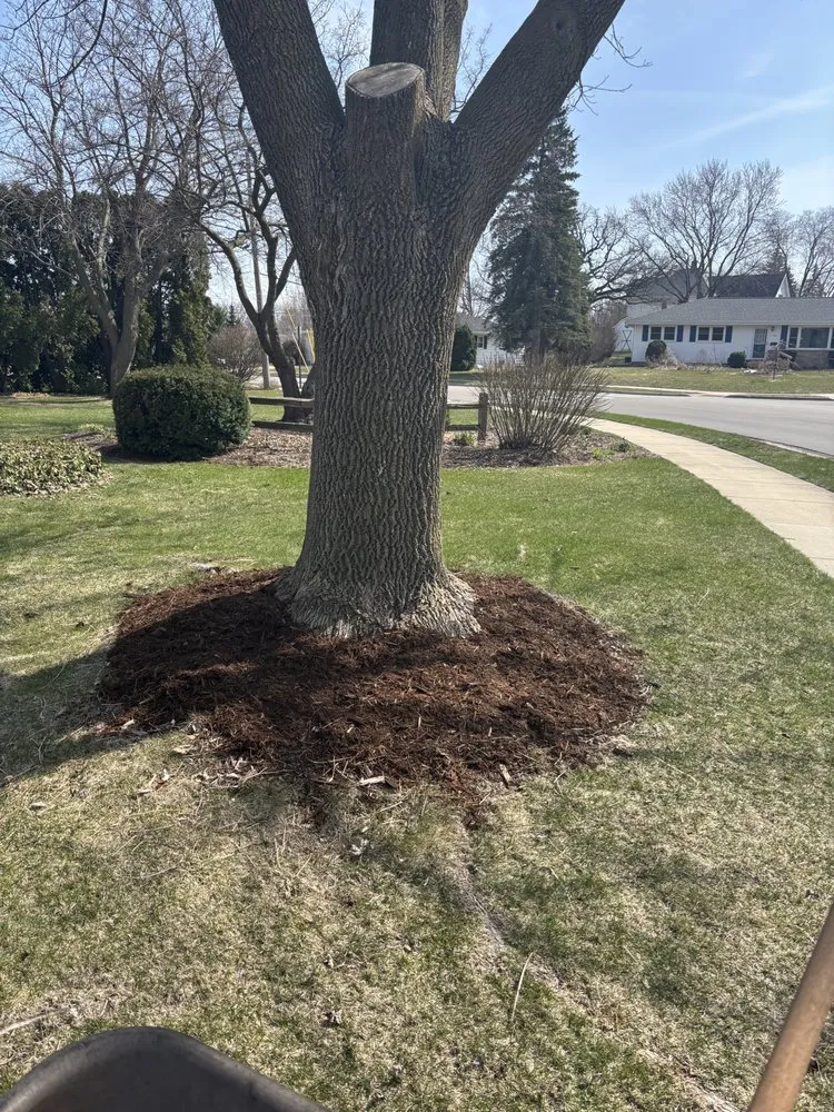 Professional lawn mowing service near you across Sun Prairie, WI - Maximum Service Lawn Care