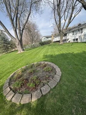 Maximum Service Lawn Care