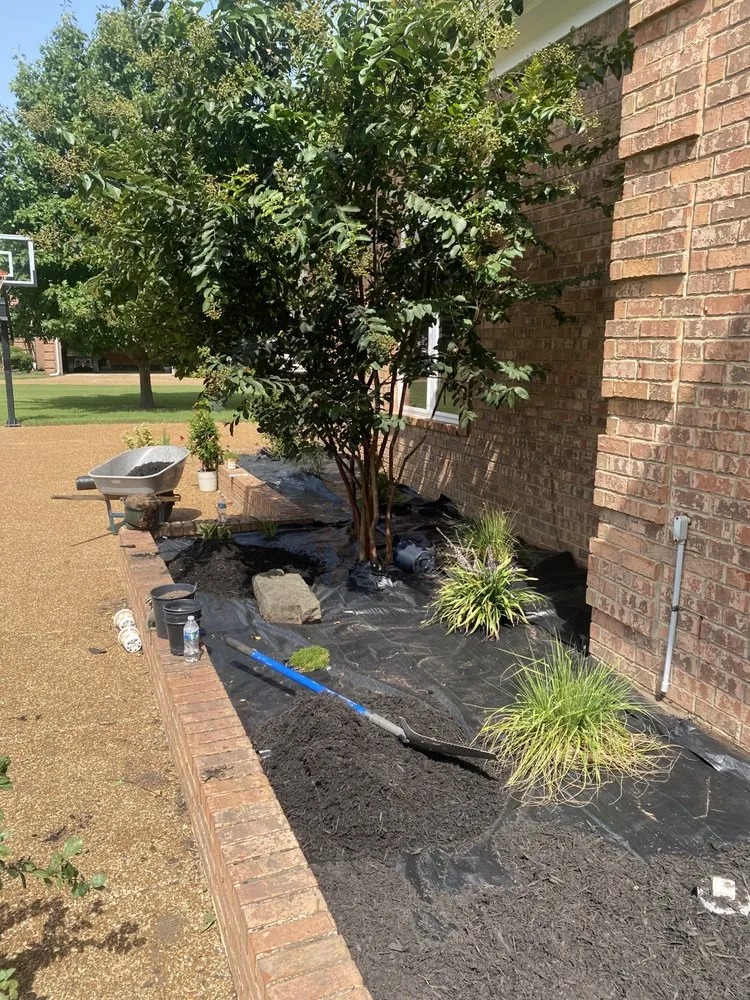 Local yard cleanup service for year-round maintenance in Horn Lake, MS by Maximum services