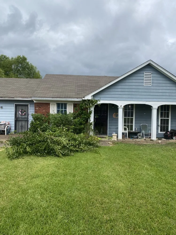 Expert yard cleanup service experts serving Horn Lake, MS - Maximum services